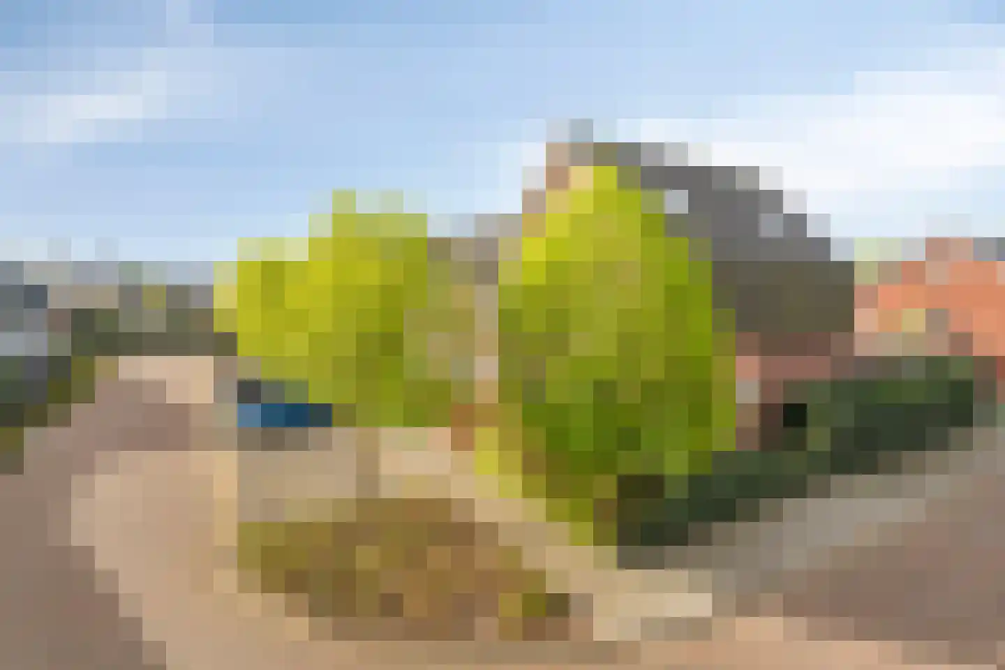Boezeroen 2 Hulshorst thumbnail 6