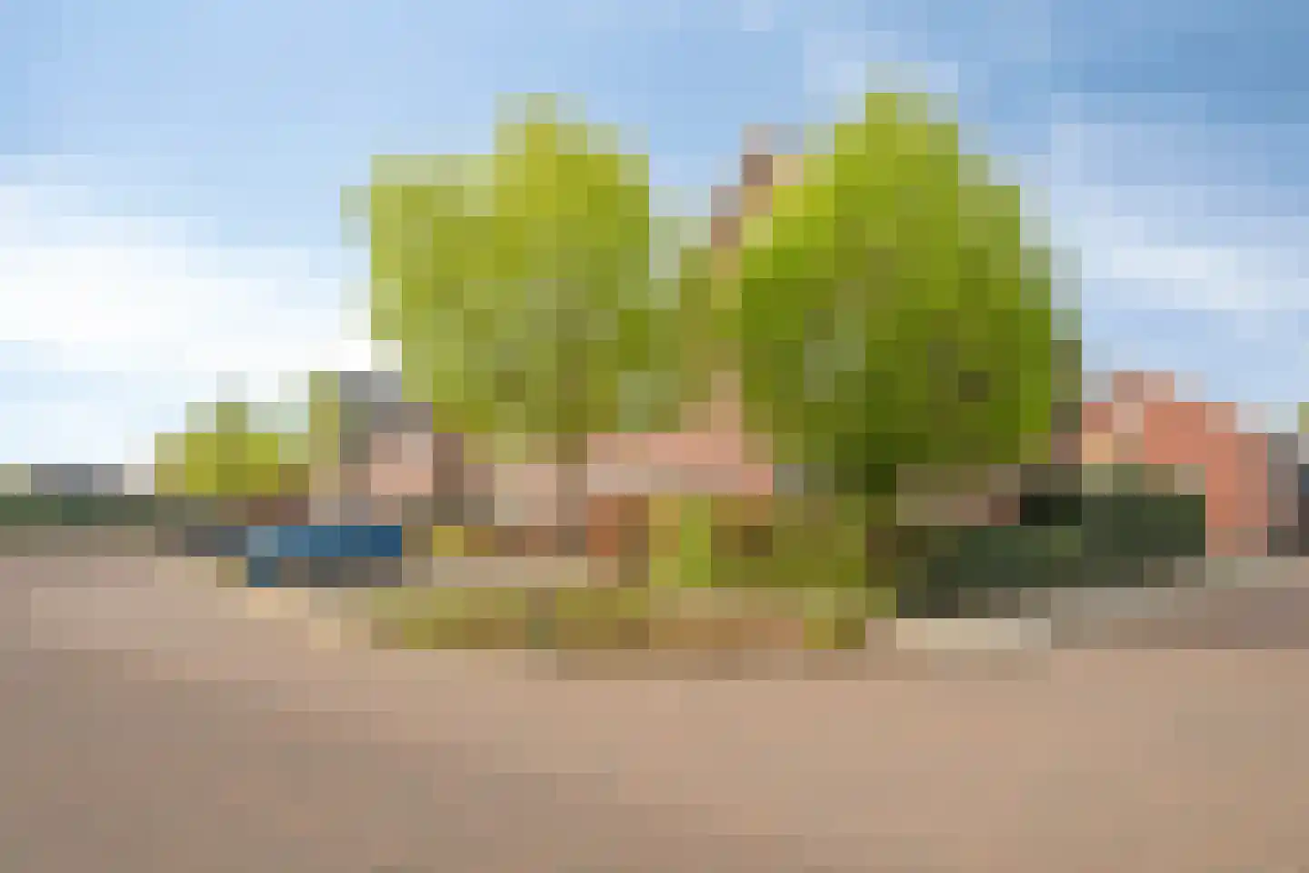 Boezeroen 2 Hulshorst thumbnail 8