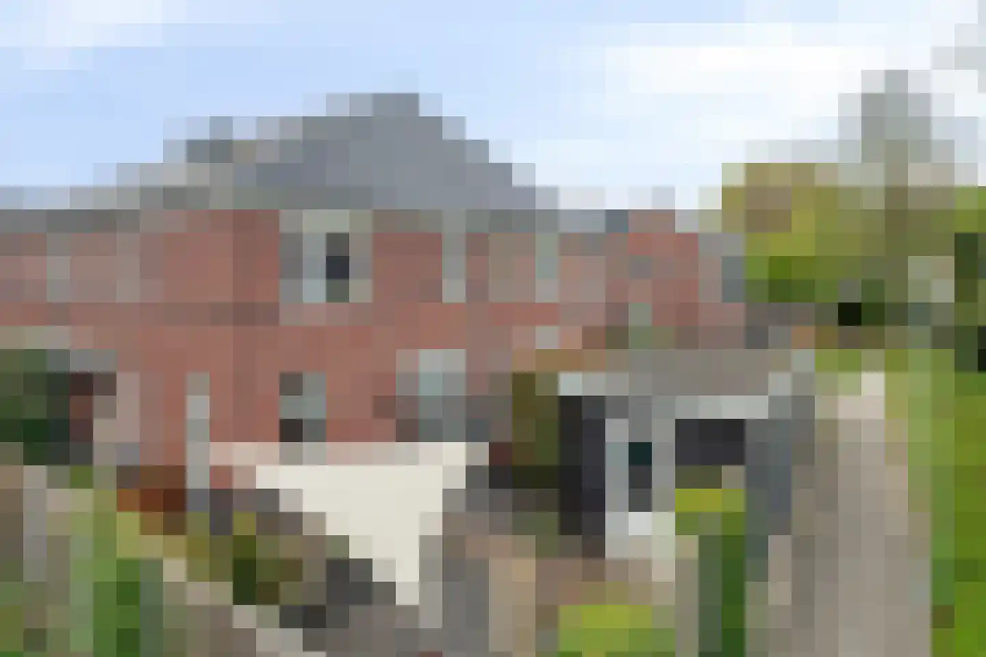 Boezeroen 3 Hulshorst