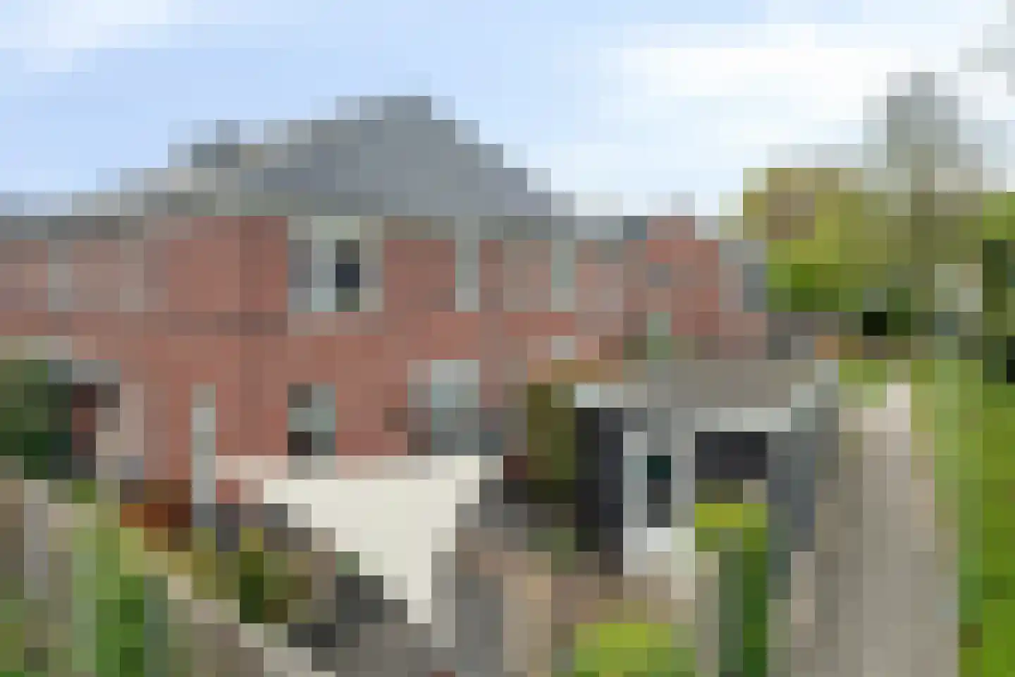 Boezeroen 3 Hulshorst