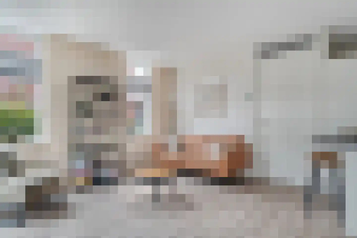 Boezeroen 3 Hulshorst thumbnail 12