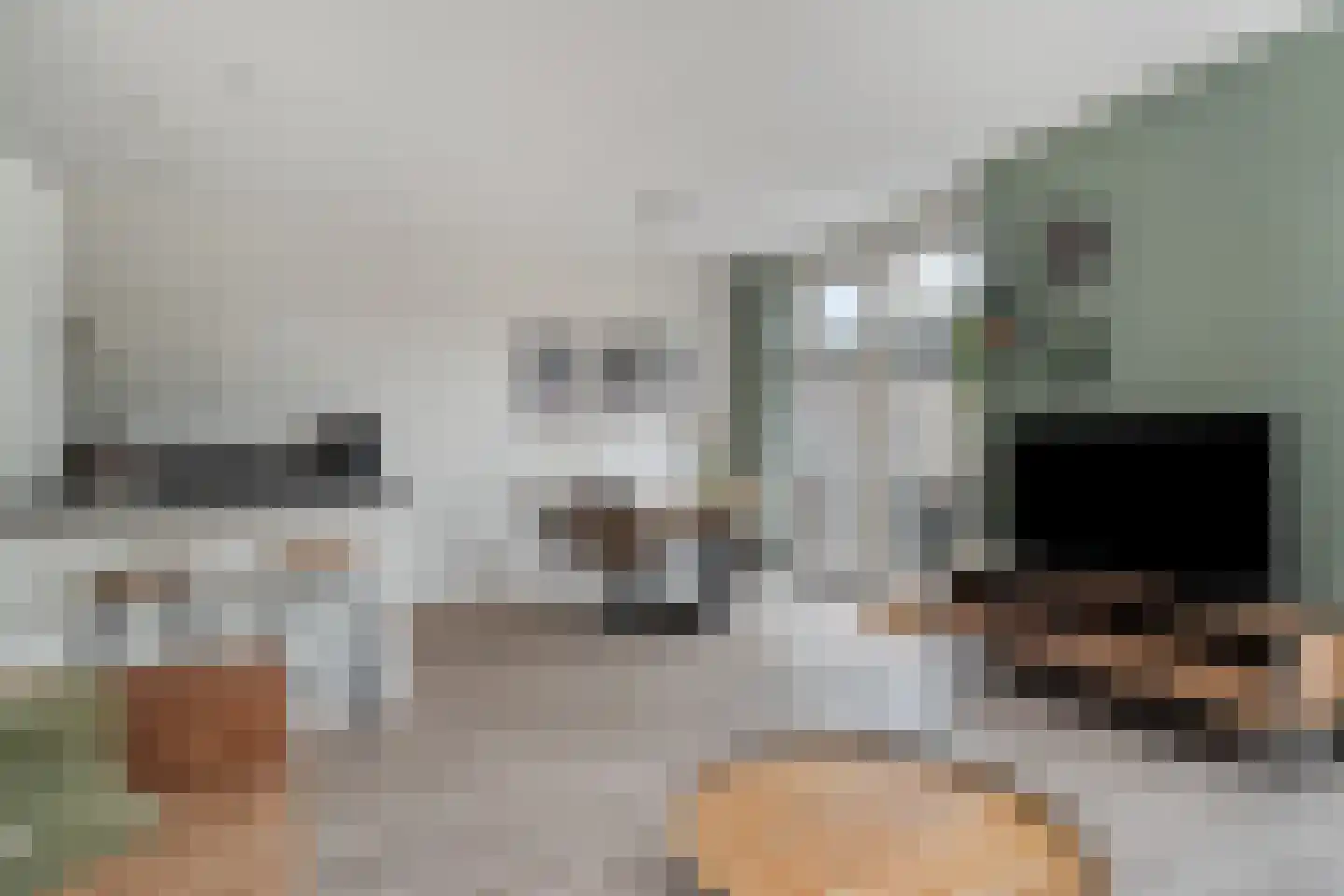 Boezeroen 3 Hulshorst thumbnail 13