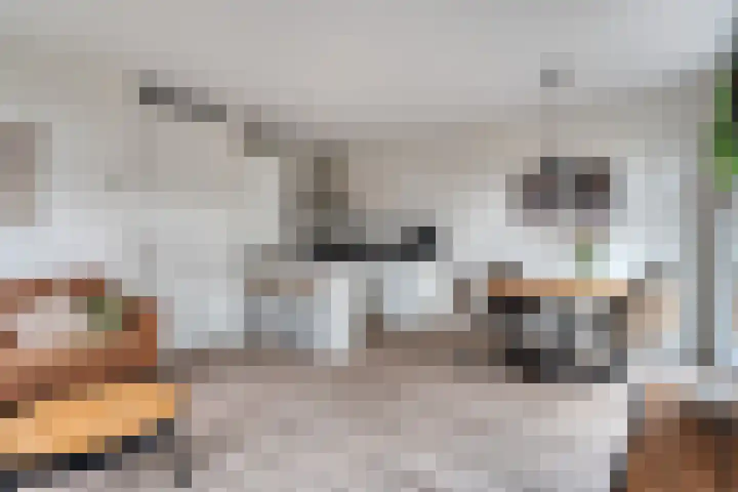 Boezeroen 3 Hulshorst thumbnail 14