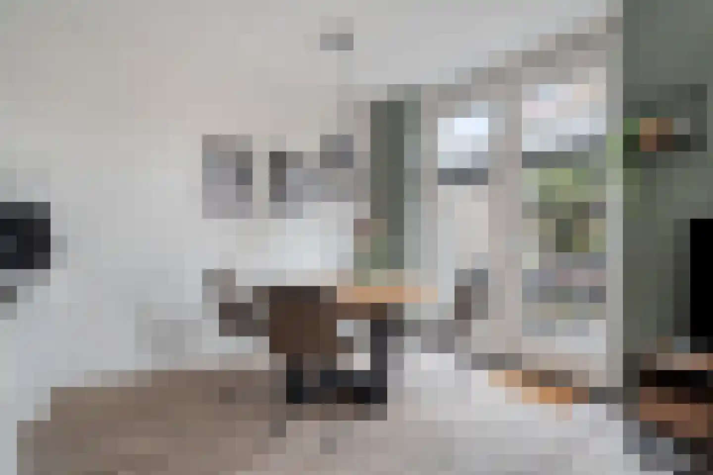 Boezeroen 3 Hulshorst thumbnail 15