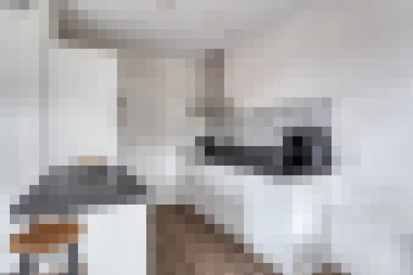 Boezeroen 3 Hulshorst thumbnail 18