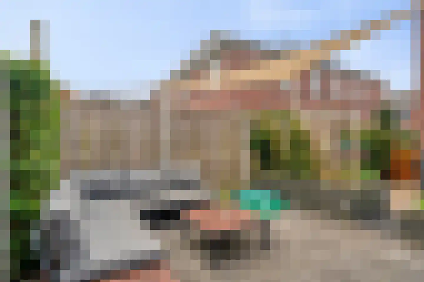 Boezeroen 3 Hulshorst thumbnail 39