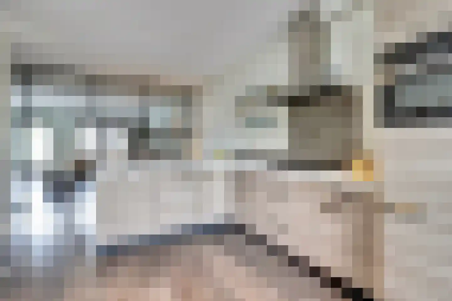 Boezeroen 4 Hulshorst thumbnail 13