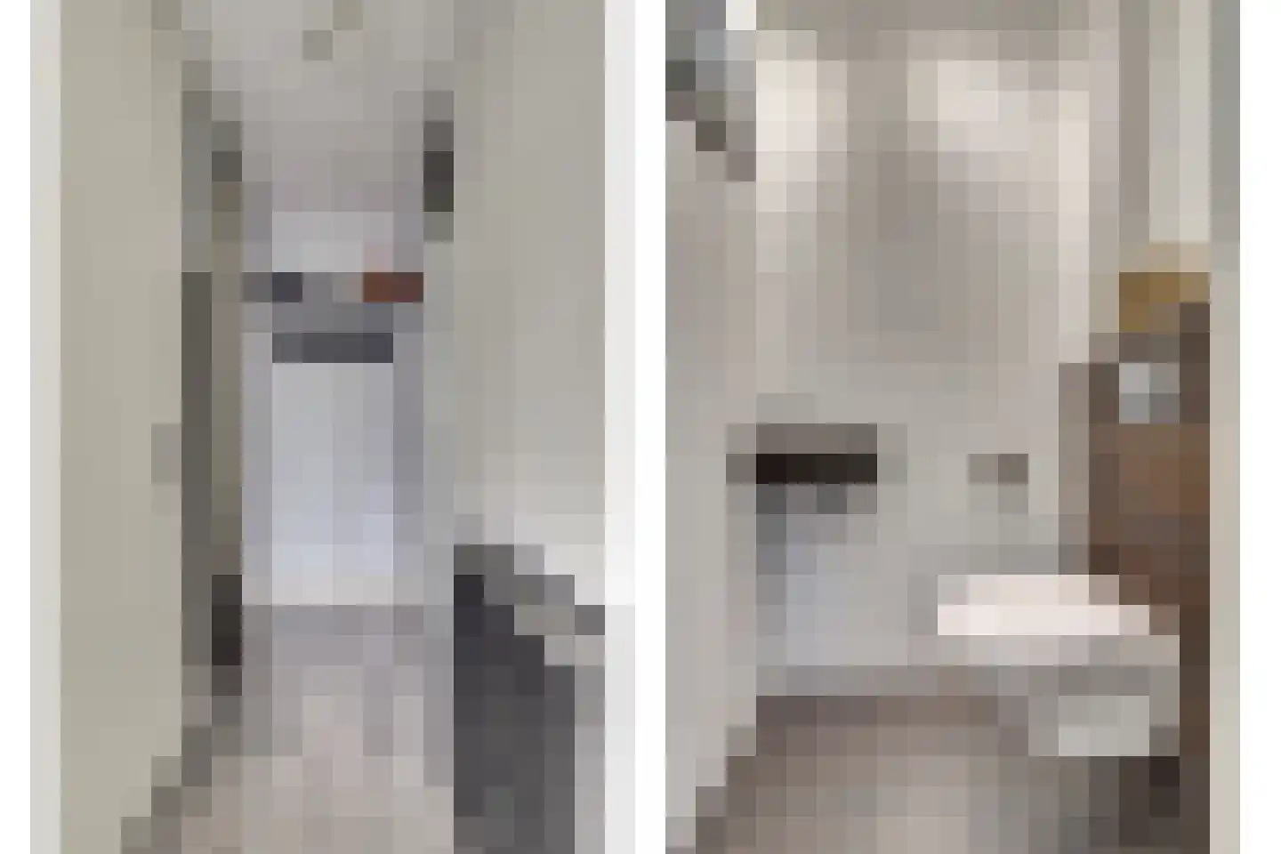 Boezeroen 4 Hulshorst thumbnail 17