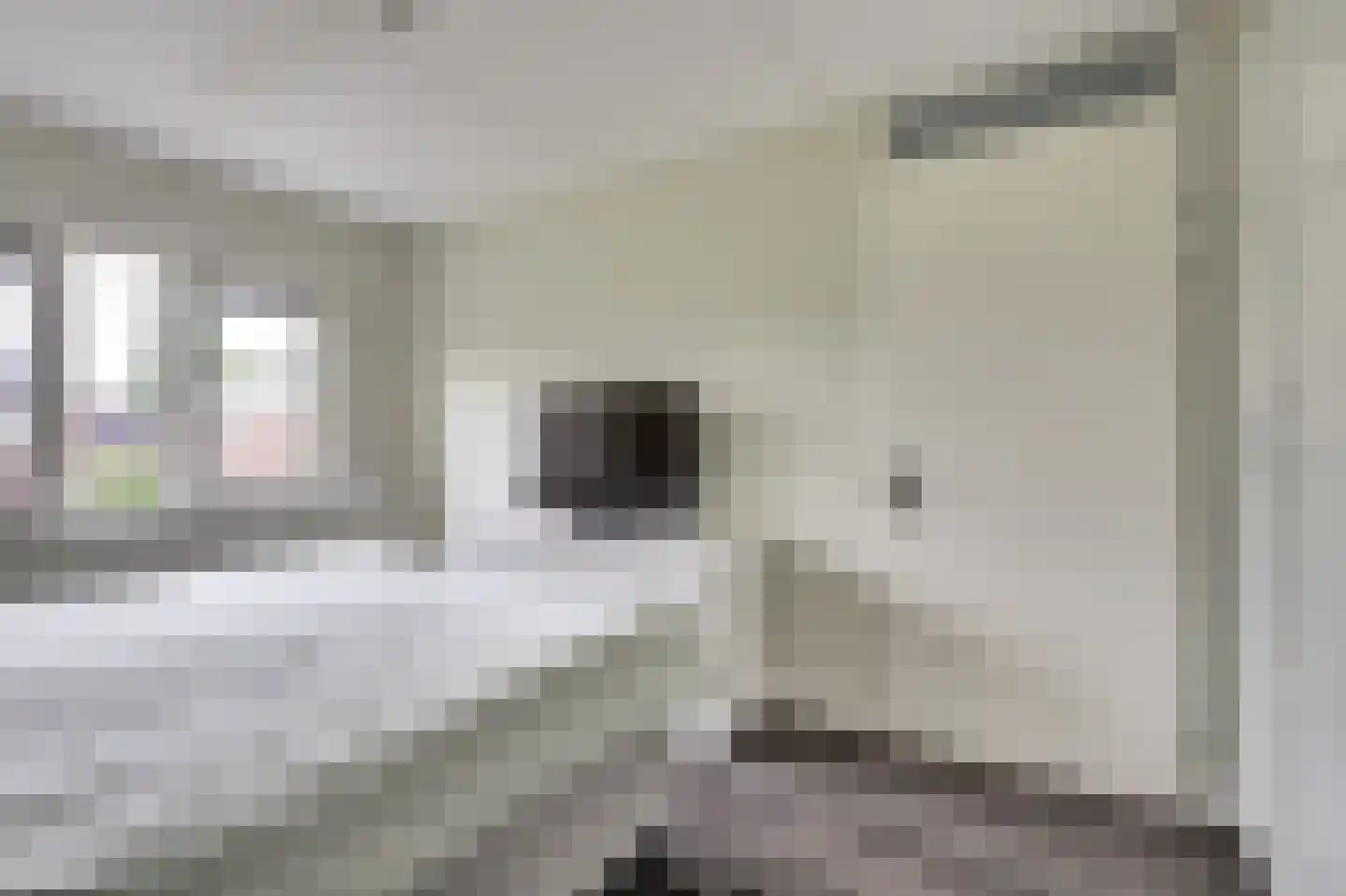 Boezeroen 4 Hulshorst thumbnail 19