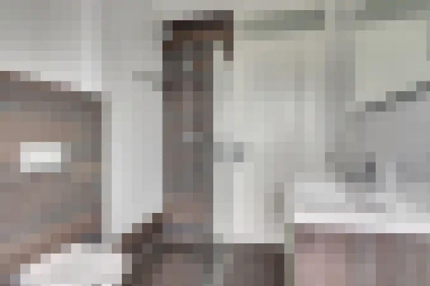 Boezeroen 4 Hulshorst thumbnail 22