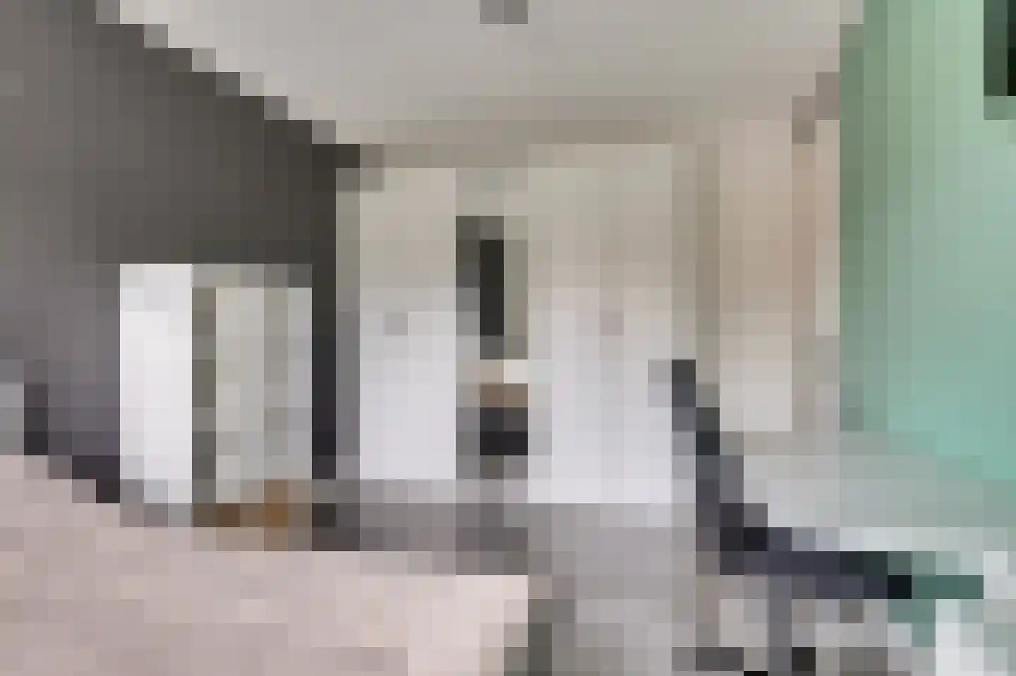 Boezeroen 4 Hulshorst thumbnail 25