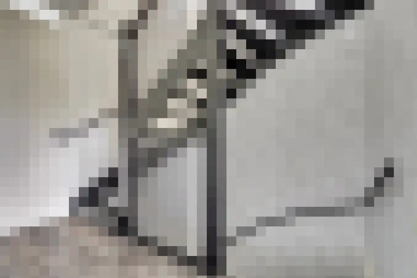 Boezeroen 4 Hulshorst thumbnail 27