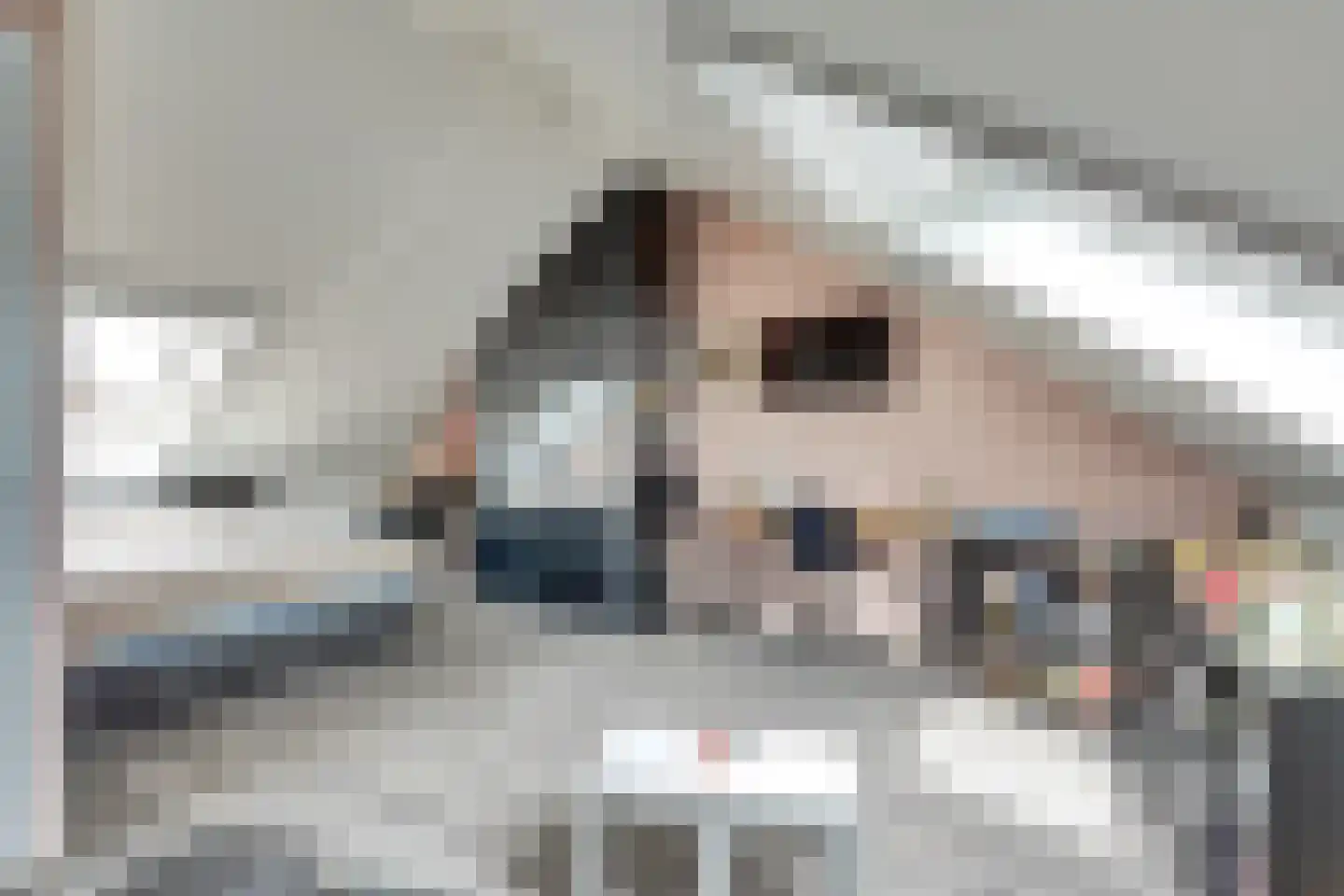 Boezeroen 4 Hulshorst thumbnail 33