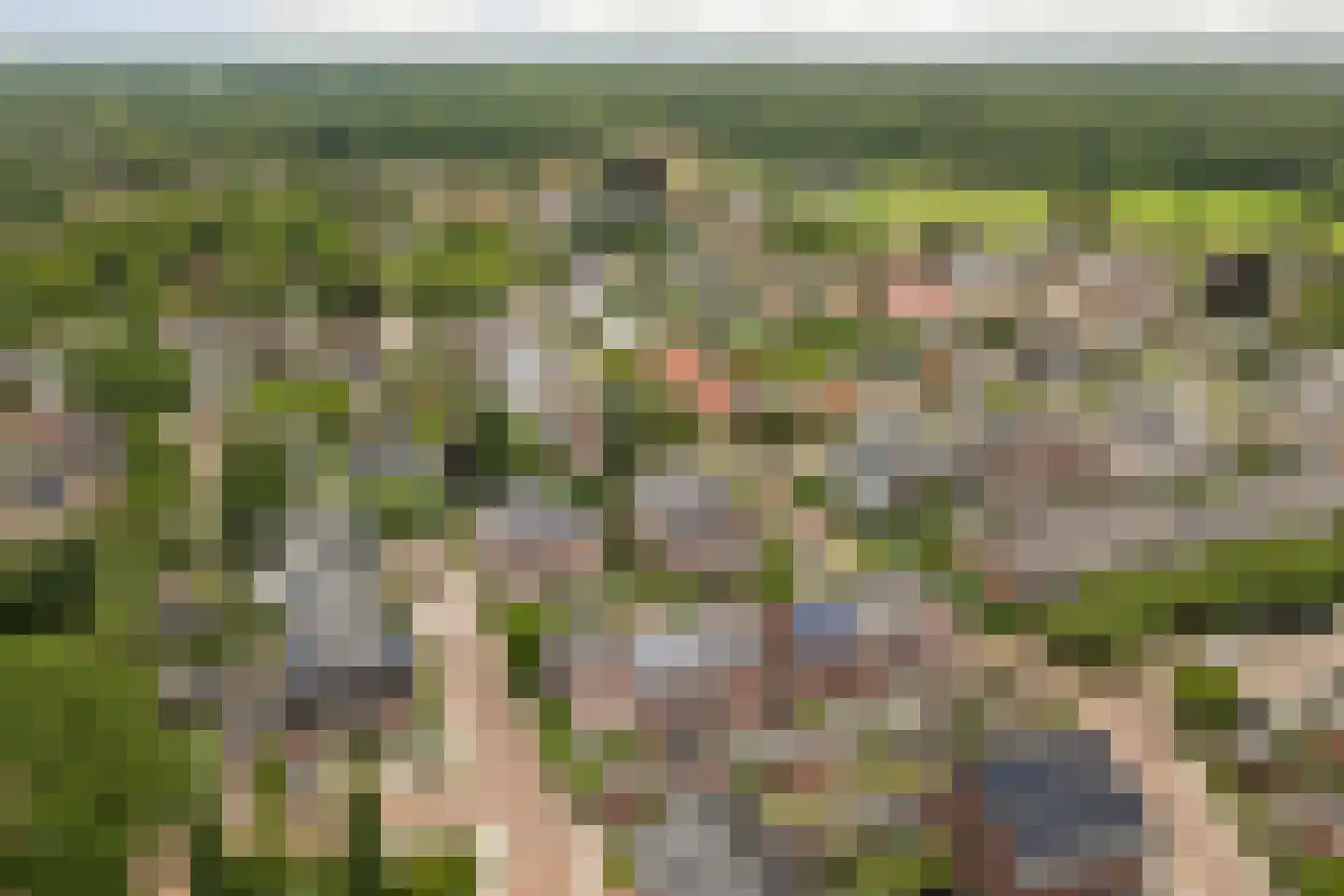 Boezeroen 4 Hulshorst thumbnail 39
