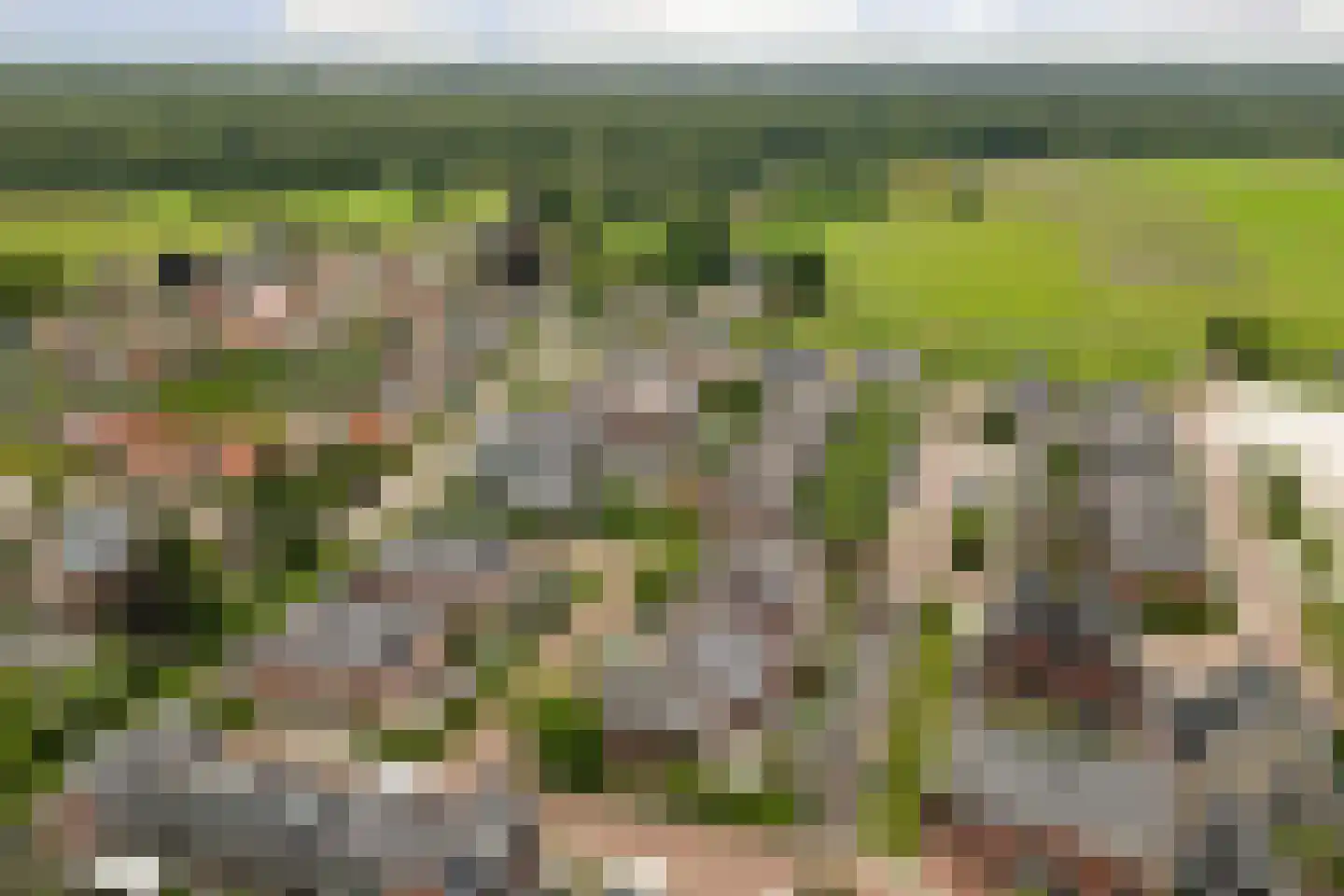 Boezeroen 4 Hulshorst thumbnail 40