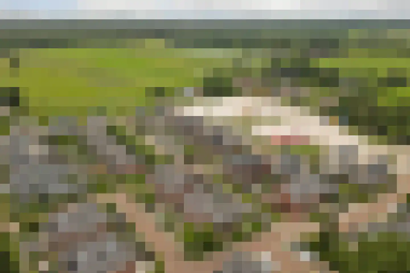 Boezeroen 4 Hulshorst thumbnail 41