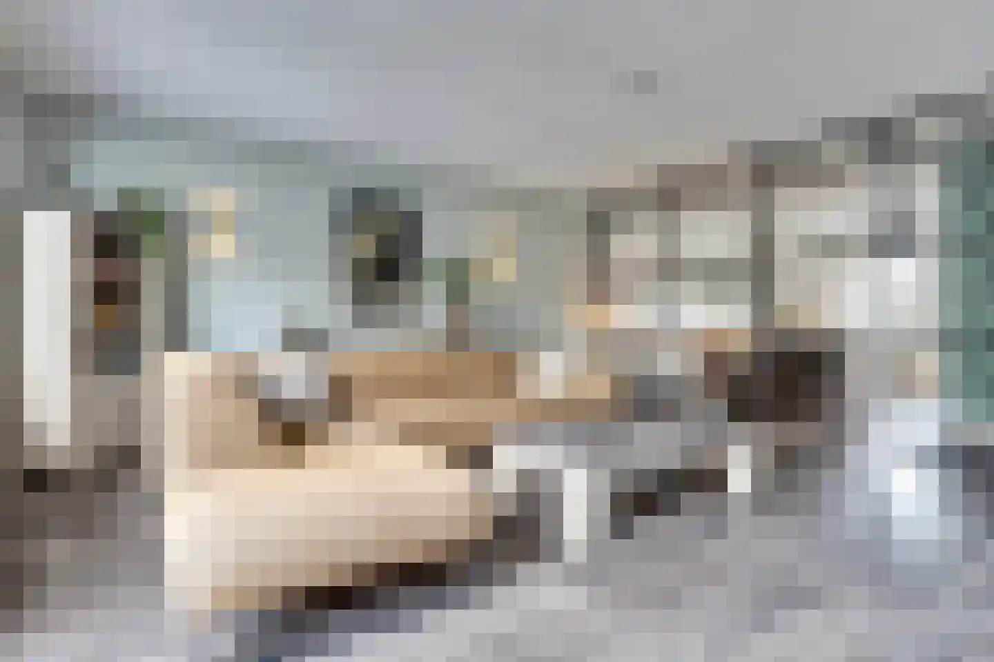 Boezeroen 4 Hulshorst thumbnail 6