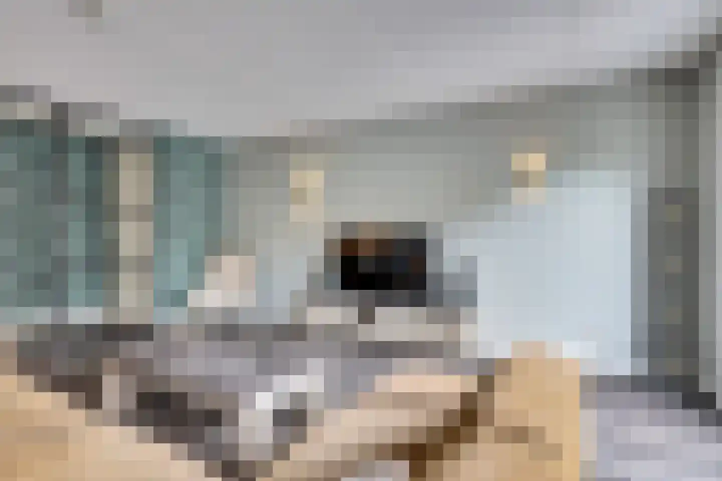Boezeroen 4 Hulshorst thumbnail 8