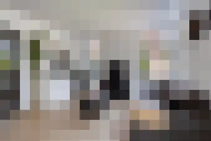 Boezeroen 5 Hulshorst thumbnail 10