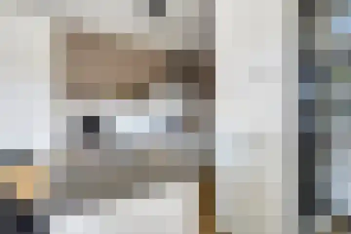 Boezeroen 5 Hulshorst thumbnail 11