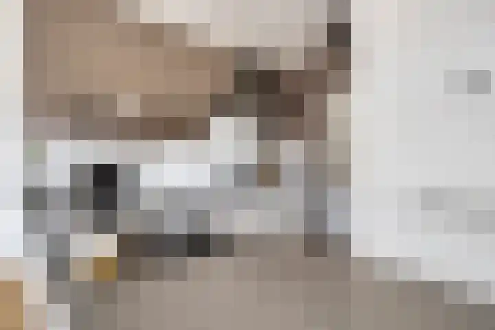 Boezeroen 5 Hulshorst thumbnail 12