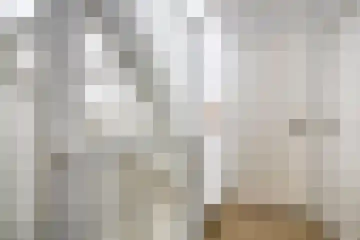 Boezeroen 5 Hulshorst thumbnail 15
