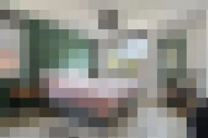 Boezeroen 5 Hulshorst thumbnail 16
