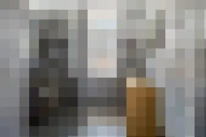 Boezeroen 5 Hulshorst thumbnail 19