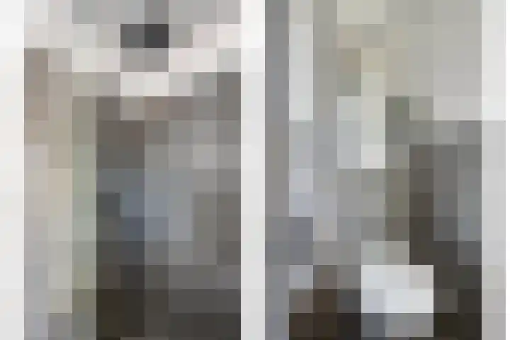 Boezeroen 5 Hulshorst thumbnail 20
