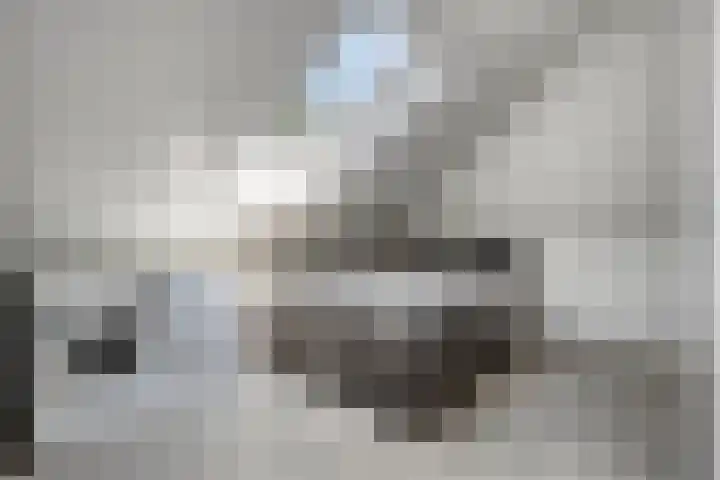 Boezeroen 5 Hulshorst thumbnail 21