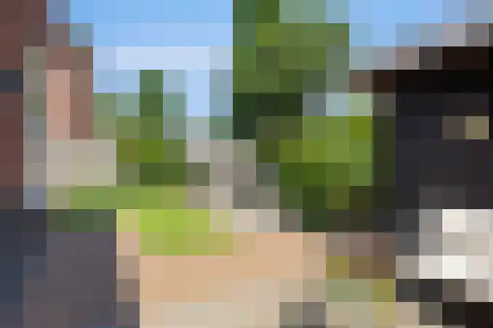Boezeroen 5 Hulshorst thumbnail 22