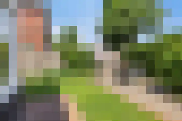 Boezeroen 5 Hulshorst thumbnail 23
