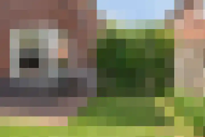 Boezeroen 5 Hulshorst thumbnail 24