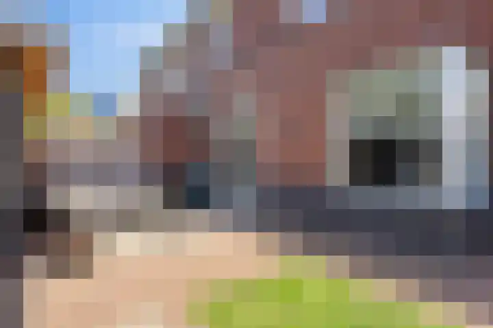 Boezeroen 5 Hulshorst thumbnail 26