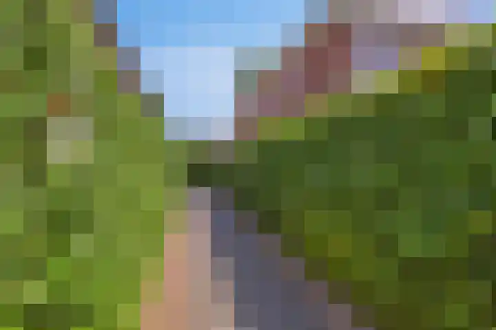 Boezeroen 5 Hulshorst thumbnail 27