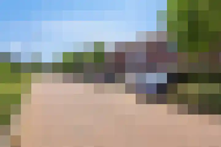 Boezeroen 5 Hulshorst thumbnail 28