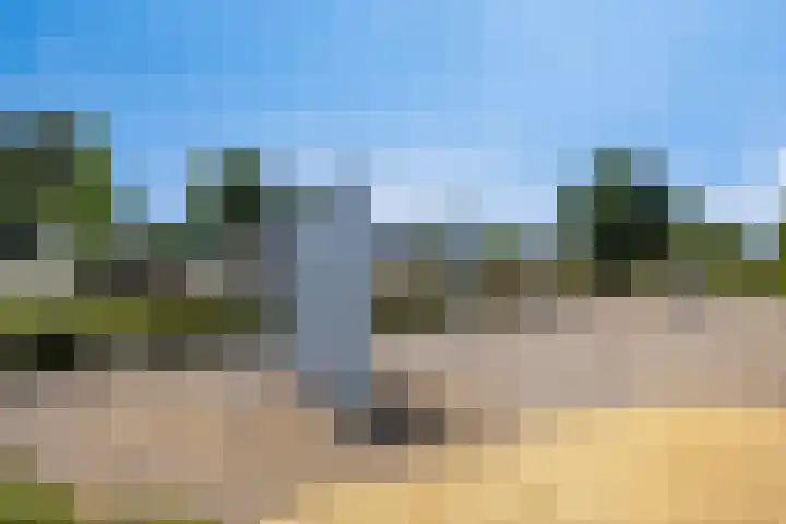 Boezeroen 5 Hulshorst thumbnail 29