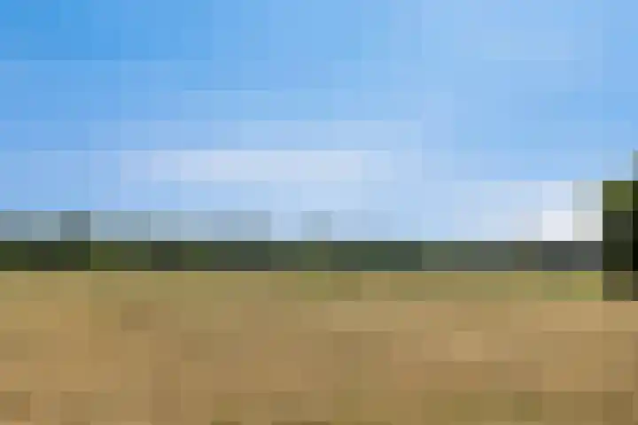 Boezeroen 5 Hulshorst thumbnail 30