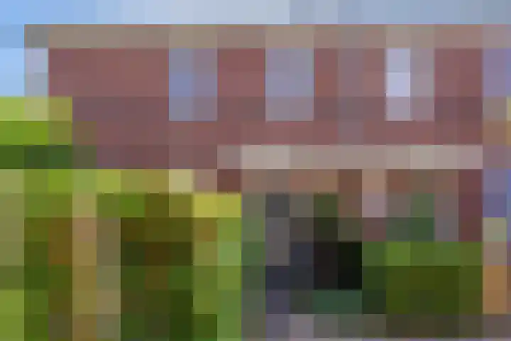 Boezeroen 5 Hulshorst thumbnail 31