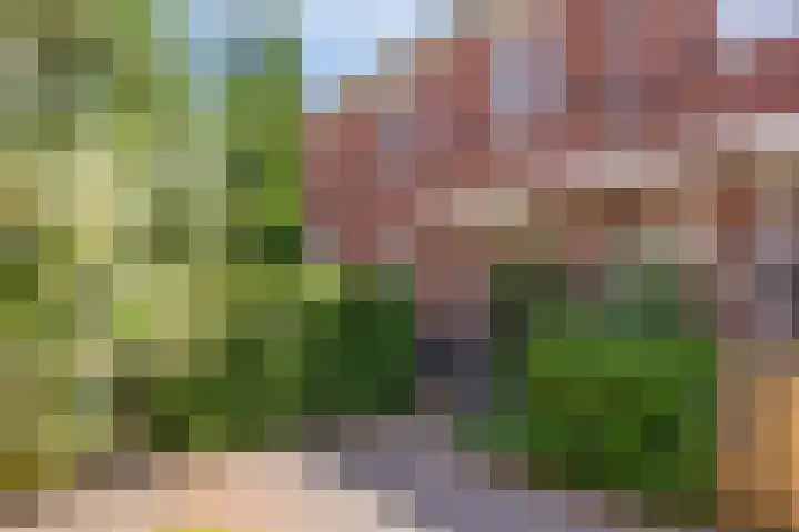 Boezeroen 5 Hulshorst thumbnail 4