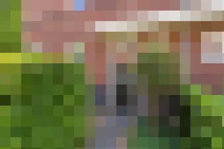 Boezeroen 5 Hulshorst thumbnail 5