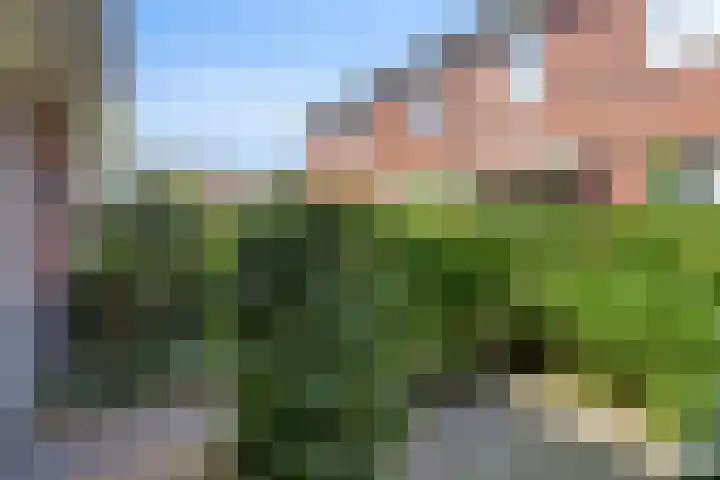 Boezeroen 5 Hulshorst thumbnail 6