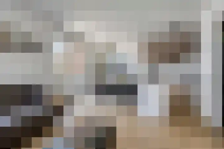 Boezeroen 5 Hulshorst thumbnail 8