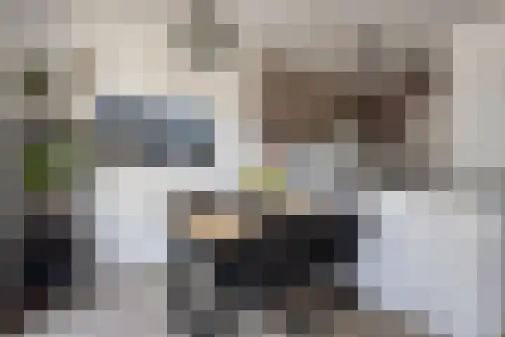 Boezeroen 5 Hulshorst thumbnail 9