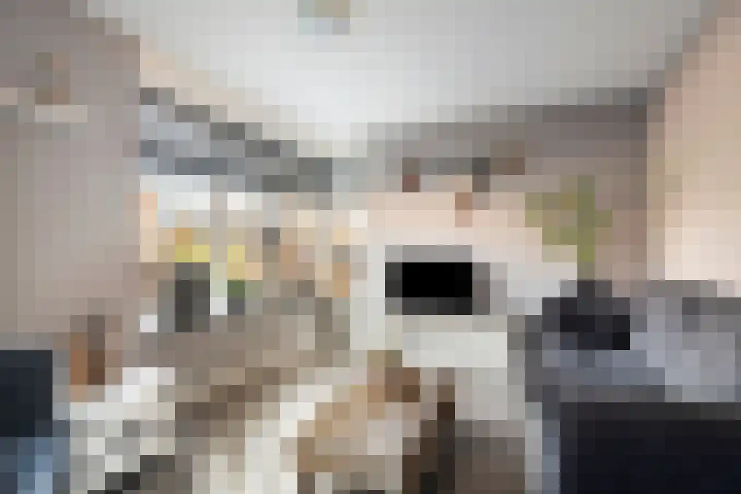 Boezeroen 6 Hulshorst thumbnail 10