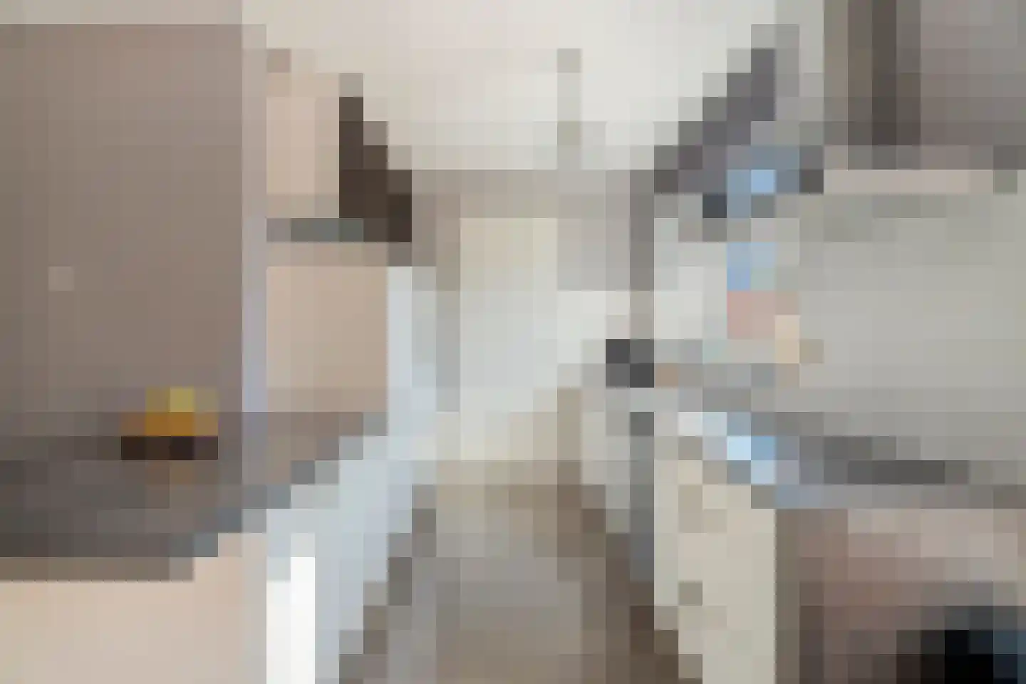 Boezeroen 6 Hulshorst thumbnail 16