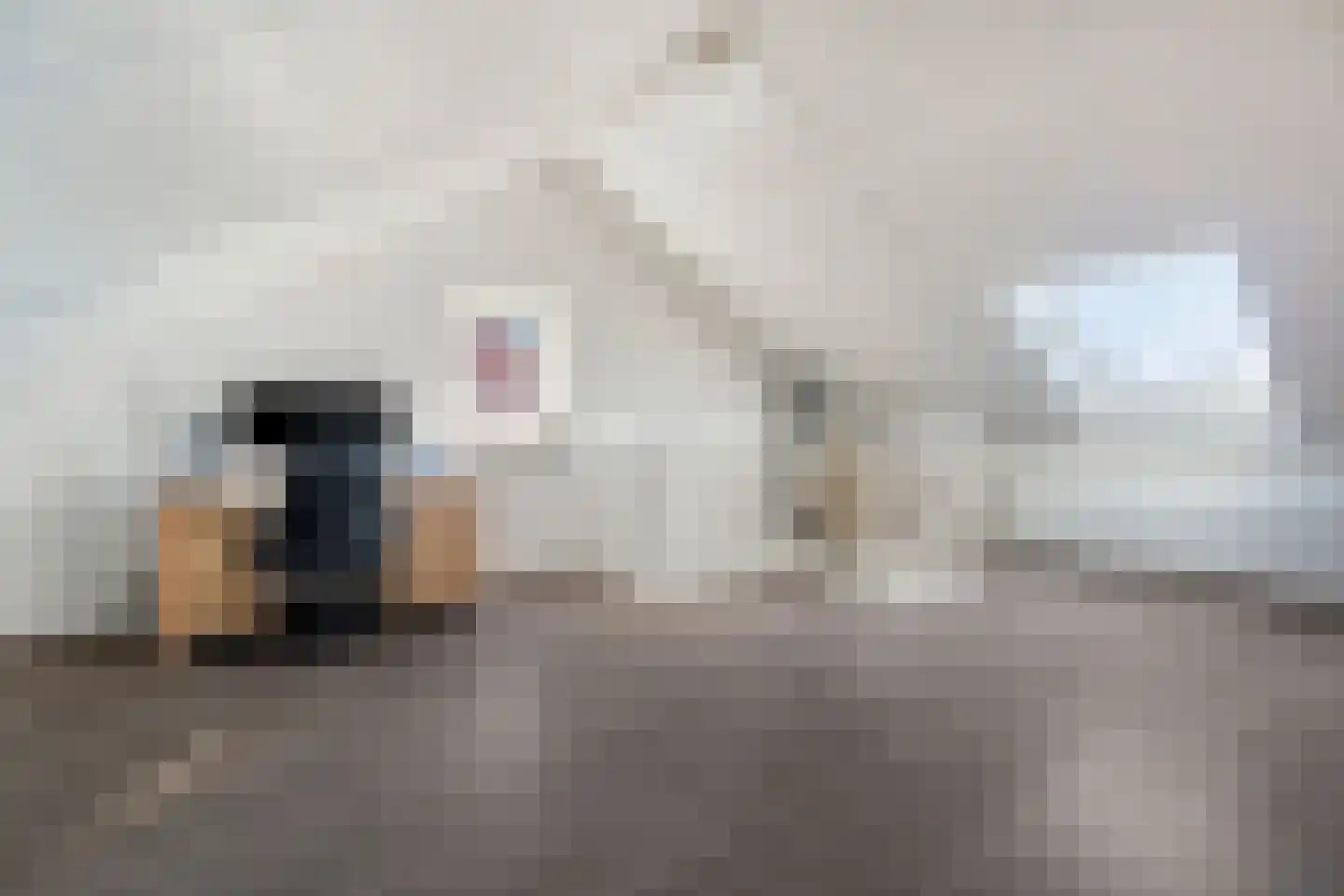 Boezeroen 6 Hulshorst thumbnail 30