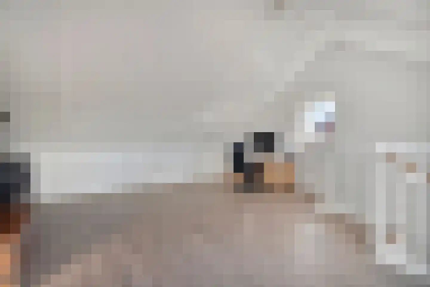 Boezeroen 6 Hulshorst thumbnail 31