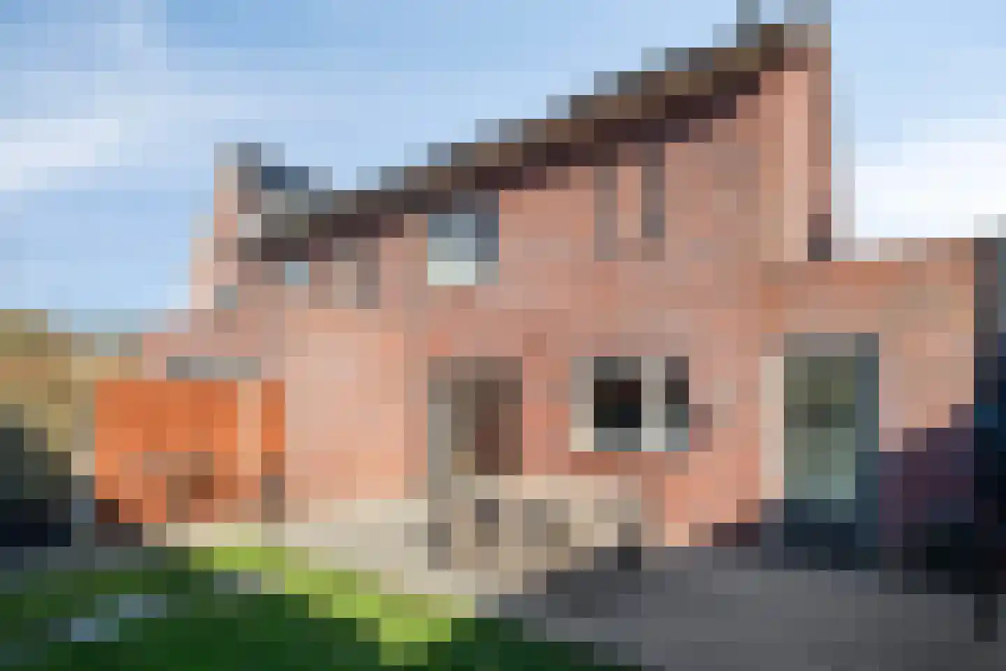 Boezeroen 6 Hulshorst thumbnail 35