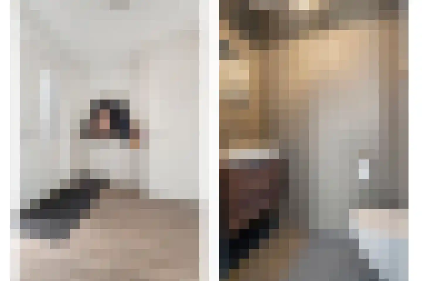 Boezeroen 6 Hulshorst thumbnail 9
